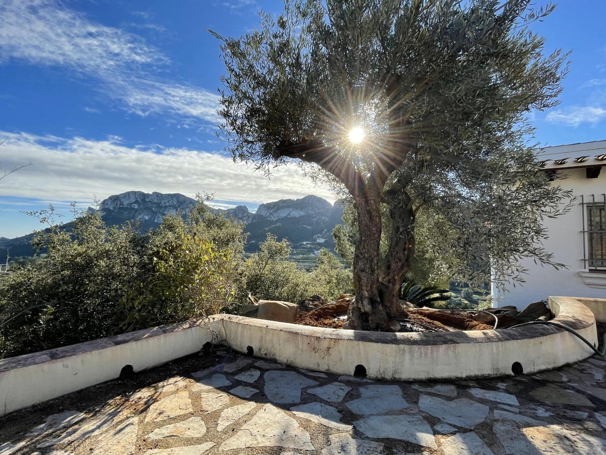Villa Casa Dali Monte Pego Eksteriør billede